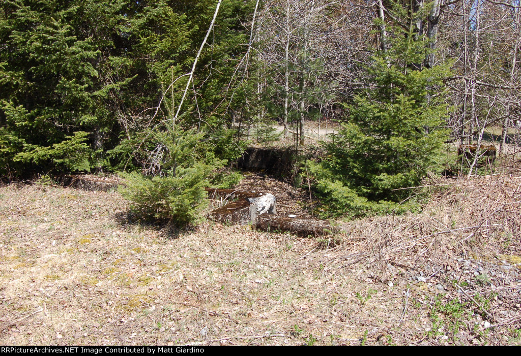 Carter Station Foundation